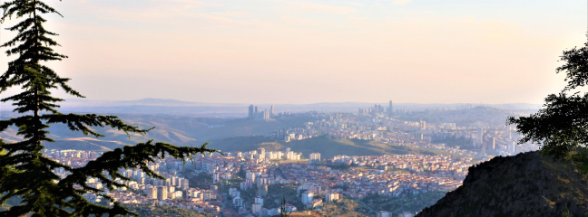 Talya Proje İnşaat Hakkında